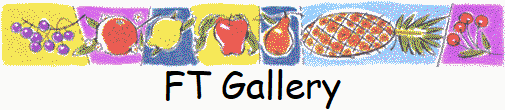 FT Gallery
