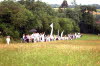 rain white procession